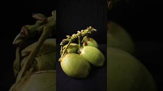 Refreshing Coconut Water shorts asmr [upl. by Kciremed]