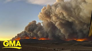 Wildfires wreak havoc in Colorado and California  GMA [upl. by Lehpar745]