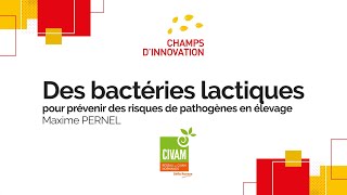 📢 DES BACTERIES LACTIQUES POUR PREVENIR DES RISQUES DE PATHOGENES EN ELEVAGE  FCDI2024 [upl. by Brina276]