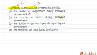 Diploblastic and triploblastic are terms that describe [upl. by Yehtomit]