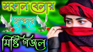 Bengali Islamic Naat  ইসলামিক সেরা গজল  Amazing Islamic Song  Bangla Hit Gojol [upl. by Netsrijk]