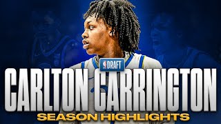 Carlton Carrington Season Highlights  Offense amp Defense  2024 NBA Draft [upl. by Terpstra]