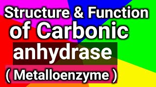 structure amp function of Carbonic anhydrase Metalloenzyme [upl. by Atibat295]