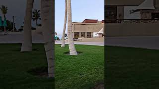 Royal Lazure Sharma resort Neom tabuk KSA Royallazuresharmaresortroyaltulip reels shotsvideo [upl. by Aihtak512]