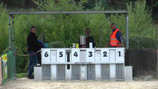 FCI Renn EM 2015 Hünstetten  Germany  qualifying heats Italian Greyhounds [upl. by Eelana133]