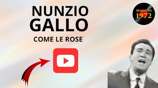 Nunzio Gallo  Come le rose [upl. by Atterahs]