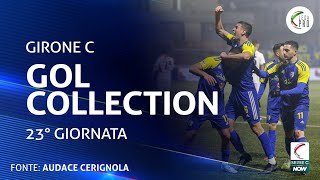 La Gol Collection della 23° giornata del Girone C [upl. by Nuawaj264]