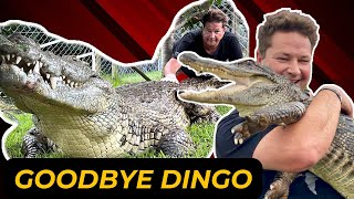 South Africa’s Steve Irwin  Dingo Dinkelman Passes Away from Snake Bite [upl. by Nolos926]