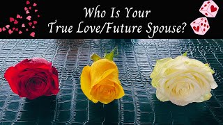 Pick A Card 🔮 Intuitive FLOWER Reading 🌹WHO Is Your TRUE LOVEFuture SPOUSE 💍 [upl. by Deana]