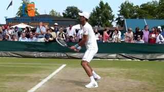 Novak Djokovic 2014  Slow Motion Forehand  Backhand [upl. by Acimehs351]