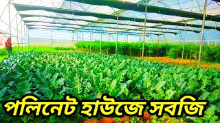 পলিনেট হাউজে সারা বছর সবজি চাষ। Polynet house vegetables। Poly house garden ideas। Green house [upl. by Lanna]