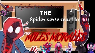 “Miles Morales Gets Spider Powers”  SpiderMan Into The Spiderverse HD [upl. by Lovash514]