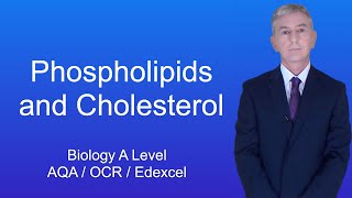 Lipid profile test  Lipoproteins  Cholestrol HDL  LDL  VLDL  Triglycerides [upl. by Hallsy]