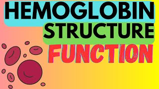 Hemoglobin  Structure  Function  R and T States [upl. by Ardnekat58]