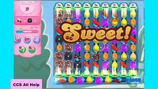 Candy Crush Saga Level 9825 NO BOOSTERS Cookie [upl. by Emie]