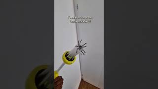 The Best Insect Catcher Devices  Tested amp Reviewed [upl. by Shirlene741]