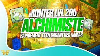 DOFUS MONTER ALCHIMISTE LVL 200 RAPIDEMENT ET EN GAGNANT DES KAMAS [upl. by Sokim631]