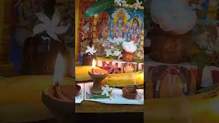 nagapanchami pujavibes like share support subscribers [upl. by Alo]