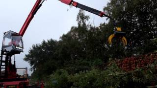 Grapple saw for tree removal  massive truck crane [upl. by Joanie]