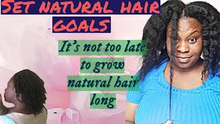 how to set hair goals  grow LONG THICK HEALTHY natural hair mini twists simply shev [upl. by Redmond]