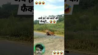 दम है तो हसी रोक के दिखाओ 🤣😂 youtubeshorts  funnyshorts comedyshorts funnyshort funnyvideo [upl. by Nazus927]