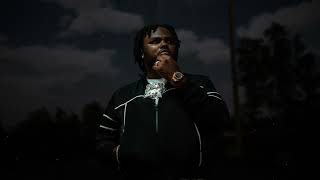 Tee Grizzley  Deposits Crazy Official Visualizer [upl. by Avner298]