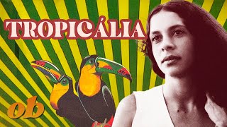 Beginners Guide to Tropicália  Off Beat [upl. by Etnomal]