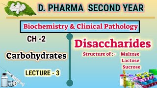 Disaccharides  Maltose  Lactose  Sucrose  Ch2  L3  Carbohydrates  DPharm second year [upl. by Barker]