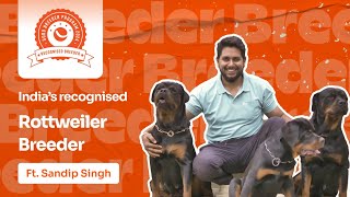 What makes a Rottweiler a pet of choice  Breeder Journey Ft Sandip Singh  Happy Pet India [upl. by Benioff760]