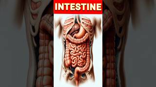 Intestinal obstruction 😊Crohns diseaseshortsvideobio [upl. by Aissila438]