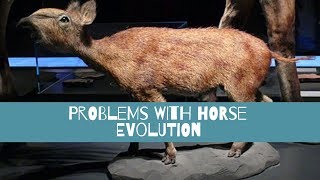 The Problems with Horse Evolution Eohippus [upl. by Narbig]