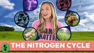 The Nitrogen Cycle [upl. by Onitnatsnoc693]