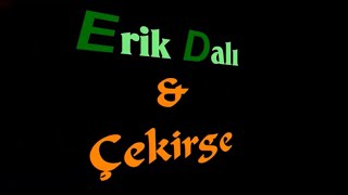 Erik Dalı Çekirge KARAOKE [upl. by Clapper]