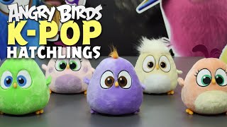 Angry Birds  Hatchlings Kpop [upl. by Vasileior3]