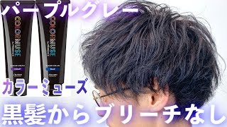 【ブリーチできない方へ】黒髪からブリーチなしパープルグレー！ ヘアカラーカラーミューズ髪色【美容室メロウ】 [upl. by Pressey]