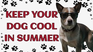 🐾 5 Essential Tips Keep Your Dog Cool This Summer [upl. by Grimbly127]