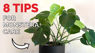 How to revive a Monstera Deliciosa Plant  8 crucial tips [upl. by Tasia]