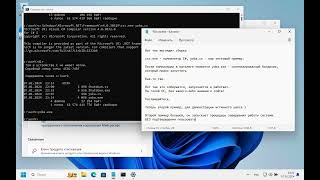 Shutdown Windows 11 using WinAPI and C [upl. by Girard417]