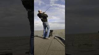 BOAT FLIP ONLY Harris Chain Bass Fishing short bassfishing harrischain [upl. by Robinet325]