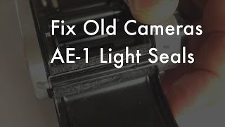 Fix Old Cameras Canon AE1 P Light Seal Replacement [upl. by Etterual]