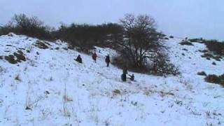 Bigfoot Family Sighting in Utah 1 of 3 [upl. by Drhcir]