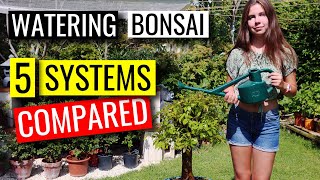 Watering Bonsai  How to water your bonsai trees  part 1 [upl. by Alyacim649]