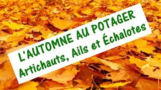 QUE FAIRE AU POTAGER EN AUTOMNE  Artichauts Ails et Échalotes [upl. by Nauq354]