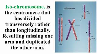 Iso Chromosome Meaning [upl. by Haerdna]