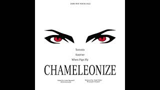 Chameleonize Toronto [upl. by Acey]