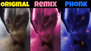 Chipi Chipi Chapa Chapa Original vs Phonk vs Remix part 2 [upl. by Elleinod]