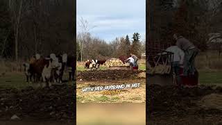 The Unexpected Rodeo 🐂😂 shorts shortsvideo [upl. by Thynne77]