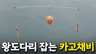 대박 이 낚시 방법을 사용해 보니 왕 도다리만 잡히네 박과장TV [upl. by Halbeib]