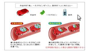 ミトコンドリア病とは [upl. by Tnias]