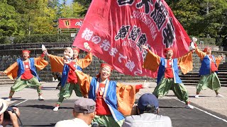 蒼天爛華 📍仙台みちのくYOSAKOIまつり 勾当台公園会場 20241012T1048 [upl. by Kera432]